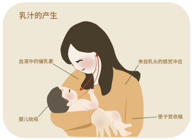 微信圖片_2025-08-07_171651_253.png